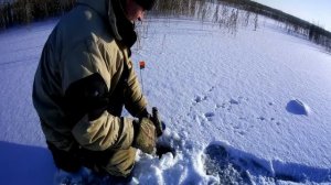 Щука на раттлин зимой