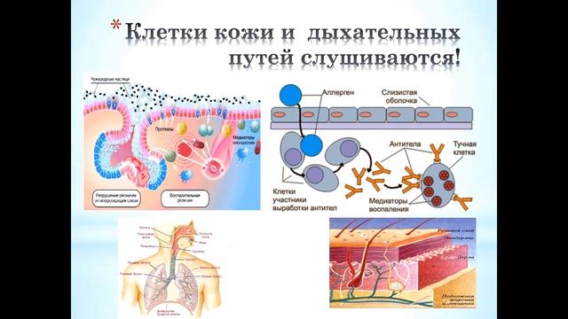 21. Аллергия - это не приговор и не диагноз. смотреть онлайн