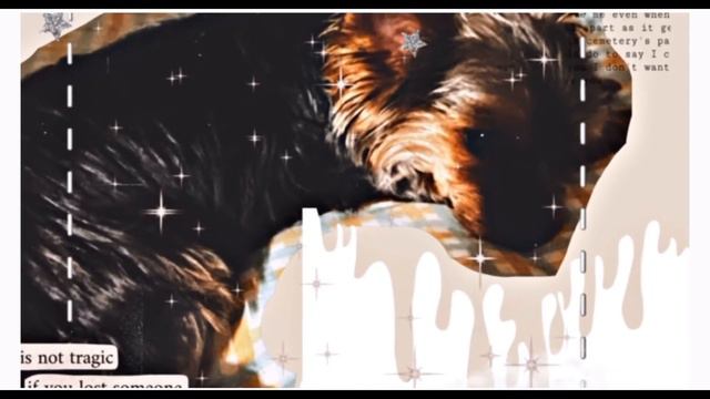 Julia представляет смотреть онлайн