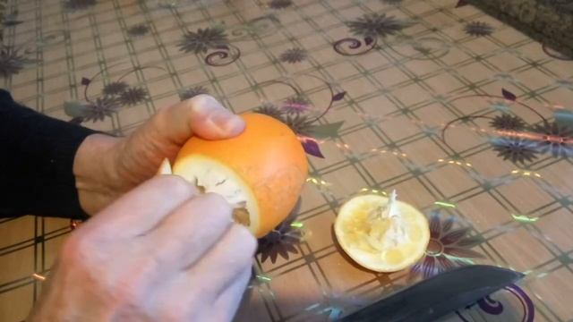 Как почистить апельсин смотреть онлайн
