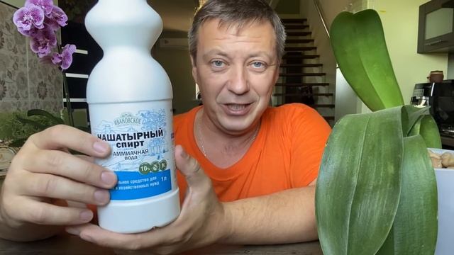 УДОБРЕНИЕ ОРХИДЕЙ доступно и бюджетно / корни орхидеи растут как на дрожжах? смотреть онлайн