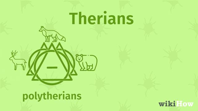 What Is A Therian?