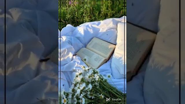 К чему чешется#рек смотреть онлайн