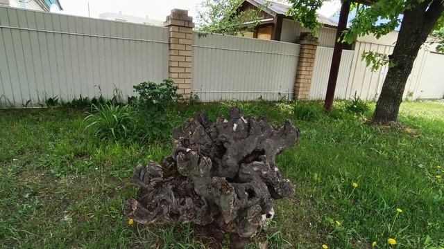 VLOG?НЕ НАДО ПРИСТАВАТЬ К СОБАКАМ?? ПРОГУЛКА??? ЧТО ГОТОВЛЮ НА ОБЕД?? смотреть онлайн