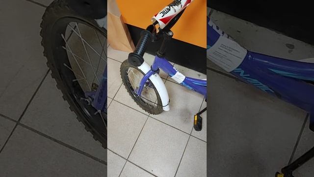 Видео №599430 смотреть онлайн
