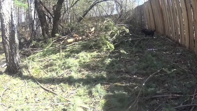 Барсук Ягд смотреть онлайн