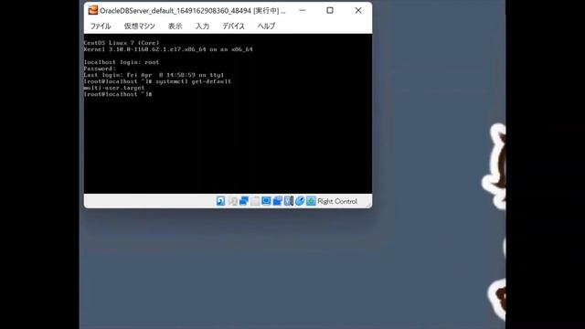 ORACLE19cインストール手順（Windows） смотреть онлайн