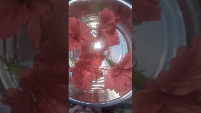 இதயத்திற்கு பலம் தரும் 🌺🌺🌺🌺🌺🌺டீ смотреть онлайн