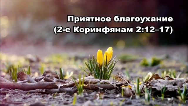 Тихое время с Живой Жизнью: 2 Коринфянам 2:12–17 (04032018) смотреть онлайн