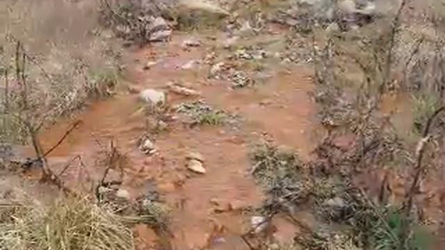 FILTHY CLEAN смотреть онлайн
