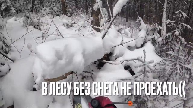 ГОРА ВОРОНИНА (горнолыжка) пытаемся уйти в лес | Михайловск | Урал смотреть онлайн