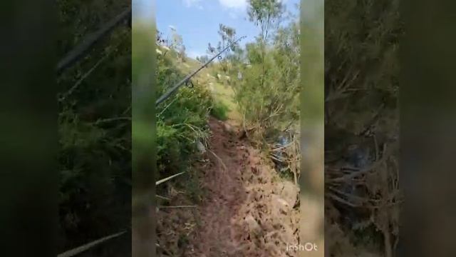 Рыбалка на щуку летом на спиннинг. Наловились, находились. Щука зверь. смотреть онлайн