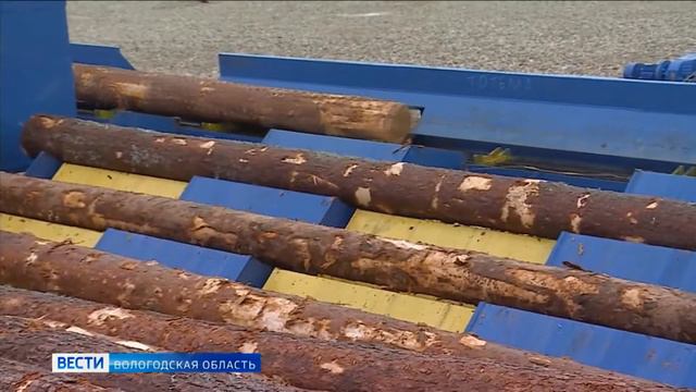 Линия сортировки пиловочника Тотемский лесхоз смотреть онлайн