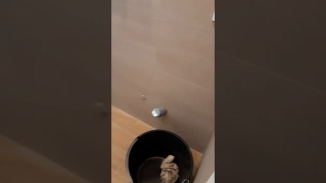 после ремонта 1к кв мытищи смотреть онлайн