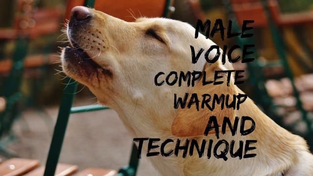 Complete Warmup and Technique - Baritone/Tenor Range смотреть онлайн