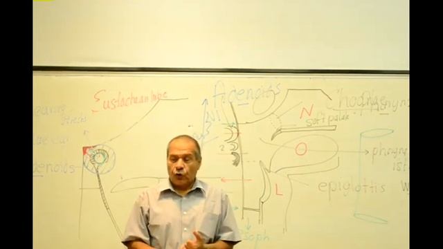 GIT Block Lec2 Prof Wagih "female" part 6 end смотреть онлайн