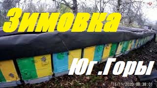 Зимовка пчел 20.01.2020.Осмотр пчела семей после 3 месячной зимовки. смотреть онлайн