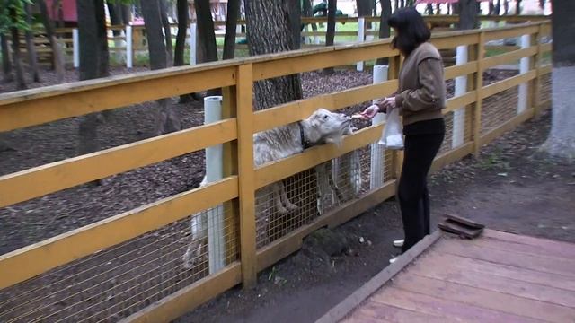 Хопровские зори смотреть онлайн