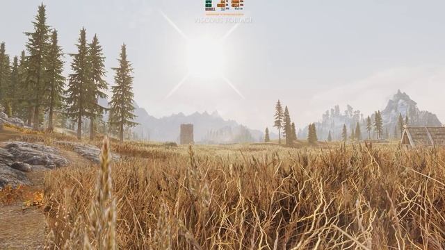 Skyrim SE Mods: Grass Mods Comparison ( Verdant, Veydosebrom, Viscous Foliage, SFO )