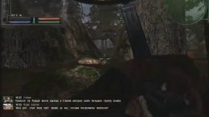 Костя и его тайники - 34 (тайник Кости на Радаре).