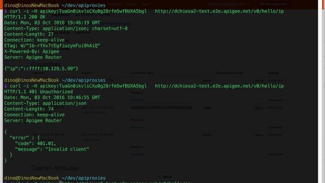 Apigee Edge - Key Expiry and Revocation смотреть онлайн