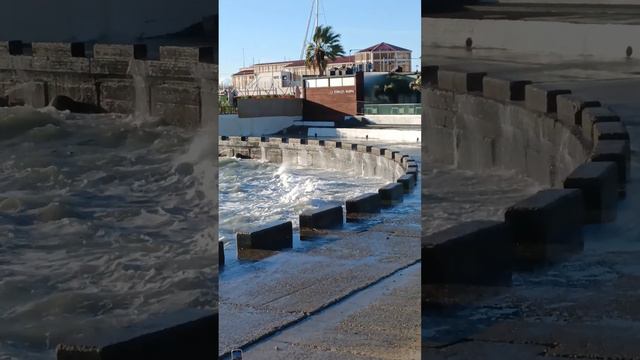 Сочи, классно зимой солнце, море, шум прибоя, пальмы, цветёт камелия, эвкалипт, рыбалка, отель #Соч смотреть онлайн
