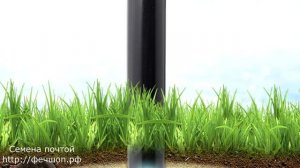 Избавляемся от земляной крысы в огороде