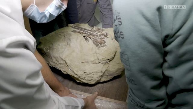 Калейдоскоп 24 10 2023 смотреть онлайн