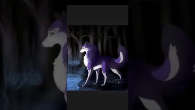 Слайдшоу! Прикольные картинки смотреть онлайн