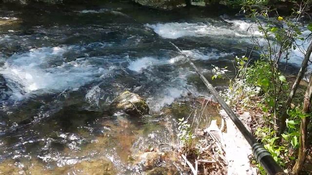 В Кыргызстана рыбалка на усач.маринка смотреть онлайн