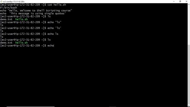 Complete Shell Scripting Tutorials | echo command to display any message | command output смотреть онлайн