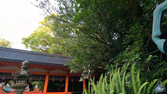 ⚠️日本史上最高の神霊が降臨しました！ご縁を結ばず去って本当に生涯後悔しませんか？【鹿児島県指宿市 枚聞神社】【祭神：大日霎貴命(天照大御神)】 смотреть онлайн