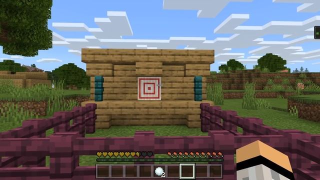 5 ЛОВУШЕК с МИШЕНЬЮ в МАЙНКРАФТ ПЕ 1.16.0.51 | Факты Майнкрафт ПЕ | 100 % Троллинг Майнкрафт смотреть онлайн