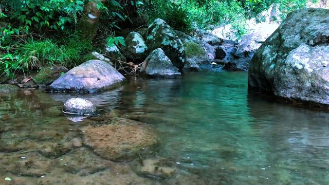 Calming Mountain Stream Sound, Peaceful Birds Chirping In Nature Forest, Best Place To Relax.