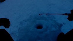 НАЛИМ НА СТУК И УДЫ на КВХ. Какая погода для Налима.