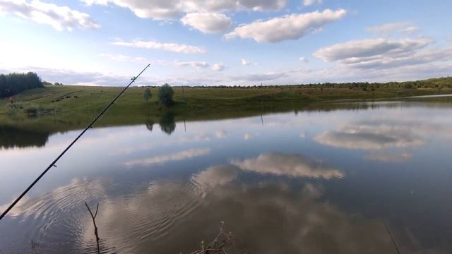 Рыбалка на платном озере! Отпуск 2023! Бешенный клев карася! Чебоксары! #youtube #рыбалка #рек смотреть онлайн