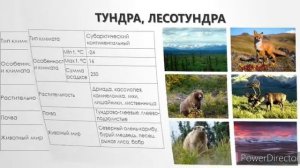 Природные зоны Северной Америки