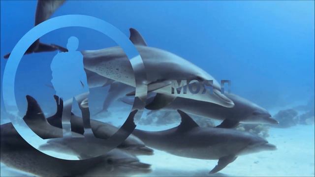 Моя планета смотреть онлайн