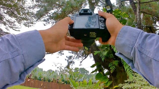 Nikon D750 Vs Nikon D610 | REVIEW INDONESIA