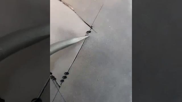 Строительные Нарративы