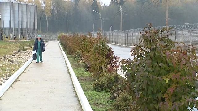 Одобрено новгородцами 22 10 14 смотреть онлайн