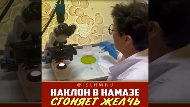 Чудо намаза! Желчь сгоняют наклоны в молитве смотреть онлайн