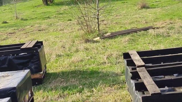 утепление работает. расплоды более качественые смотреть онлайн