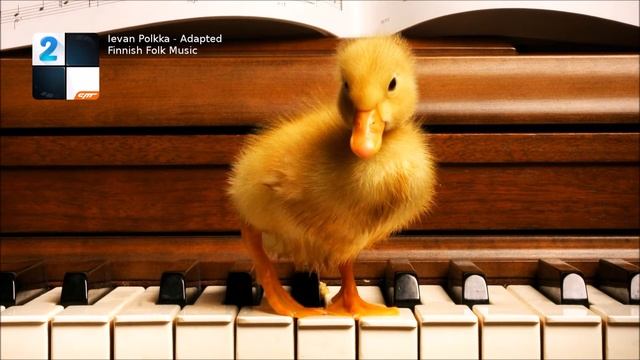 Ievan Polkka - Adapted - Finnish Folk Music │Piano Tiles 2 смотреть онлайн