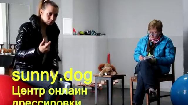 что нам показывает пульс? пУЛЬС - КАК МЕРЯТЬ И ЧТО ВАЖНОГО ОН НЕСЕТ перваяпомощь собаке смотреть онлайн