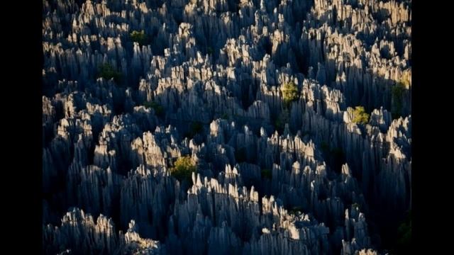 Tsingy de Bemaraha Stone Forest Madagascar - каменный лес Цинжи-дю-Бемараха, Мадагаскар смотреть онлайн