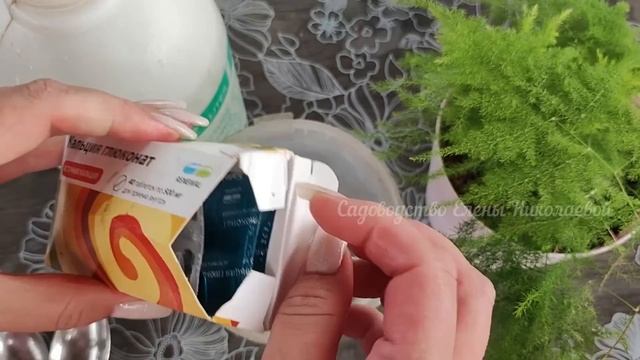 ОПРЫСКАЙТЕ ТАК 1 РАЗ ТОМАТЫ, ПЕРЦЫ, ОГУРЦЫ И БОЛЕЗНИ НЕ СТРАШНЫ! Никакой Вершиной Гнили! смотреть онлайн