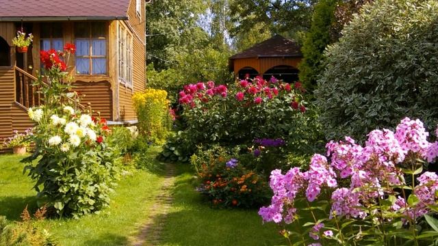 Как выбрать дачу смотреть онлайн