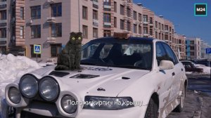 Вредные советы: стихийные парковки | Кот Бублик