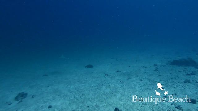 11.04.22 - Bodu Thila, Dhigurah Arches & Dhigurah:Lux Beyru смотреть онлайн